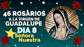 DIA 8 l⭐ SEÑORA NUESTRA l 46 🌹 ROSARIOS A LA VIRGEN DE GUADALUPE [upl. by Akaya]