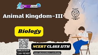 NCERT Class 11 BIOLOGY Animal Kingdom 3 CBSEICSERBSEBSEHUPMSPMPBSEPSEBBSEBGSEBJACMSBSHSE [upl. by Fachanan]