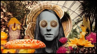 Andy Shauf  quotThe Magicianquot [upl. by Hicks]