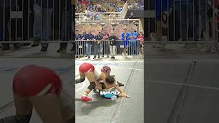 Moments from the FHSAA State Wrestling Championships [upl. by Gisele]