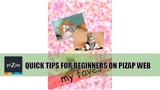 piZaps Quick Photo Editing Tutorial Quick Tips for Beginners on piZap Web [upl. by Ashleigh]