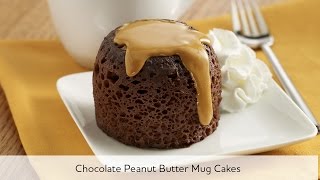 Chocolate Peanut Butter Mug Cakes [upl. by Kerrin]