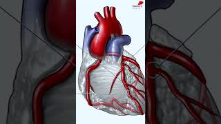 Types of Treatment for Heart Block  Watch Full Video  httpsyoutubeoitDOlaFMeQ [upl. by Cherey825]