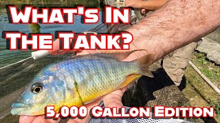 Whats in the 5000 Gallon Tanks [upl. by Trask32]