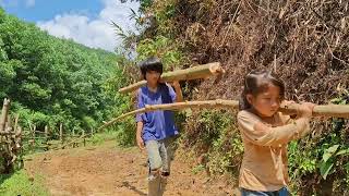 Giang Hoa today the two brothers went to cut down ghosts again [upl. by Xylon]