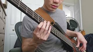 Trying to Learn the Bass  Schism by Tool [upl. by Neehar494]