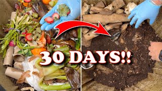 What Can A Worm Bin Do In 30 Days  Vermicompost Worm Farm [upl. by Odetta]