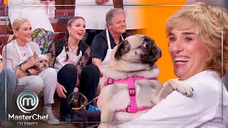 ¡¡COCINAR PARA PERROS El reto inédito de MasterChef Celebrity 9 [upl. by Ennayt]