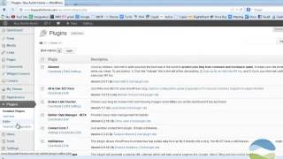 Set Up Google Analytics on Wordpress [upl. by Oirretno298]