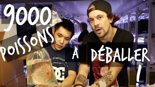 9000 POISSONS DAQUARIUM À DÉBALLER  VLOG TOOPET [upl. by Adnawak]