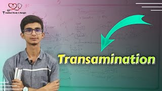 Transamination in bangla Amino acid catabolism [upl. by Lonni]