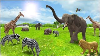 Funny Cartoon Animals For kids  Real Animals 3D  Kids BabyBus Game Video [upl. by Aronle984]