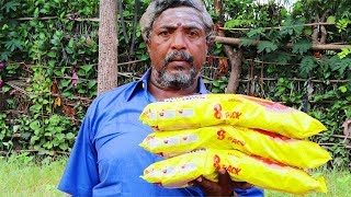 KING of MAGGI NOODLES  Yummy Maggi Noodles Cooking and Eating in Village  Farmer Cooking [upl. by Stanzel36]