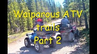 Waiparous Crown Land  ATV trails Waiparous Valley Road [upl. by Lorilyn454]