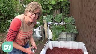 LOW COST DIY selfwatering wicking garden bed from an IBC [upl. by Naldo246]