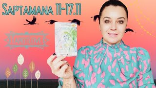 SĂPTĂMÂNA🧿111711🧿PREVIZIUNI TAROT UN PORTAL MAGIC CARE SCHIMBĂ DESTINE TU EȘTI ACTORUL PRINCIPAL [upl. by Adnirim332]