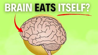 How Fasting Prevents Alzheimer’s Disease 🦠 [upl. by Coray]