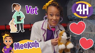 Meekahs Pawsome Playful Pet Care  4 HOURS OF MEEKAH  Educational Videos for Kids [upl. by Weinstock]