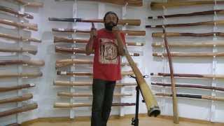 How to Create Didgeridoo Rhythms with Gumaroy Newman [upl. by Lundin]