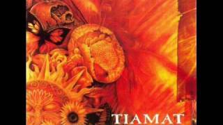 Tiamat  04  25th Floor [upl. by Alrrats833]