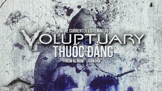 Voluptuary  Thuốc Đắng Official Lyric Video [upl. by Llehsim348]