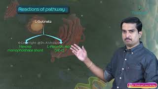 Uronic Acid Pathway and Essential Pentosuria [upl. by Loats]