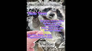 Racoon Therian Tips antizoo therian racoons savethebananabread bananabread [upl. by Kinney]