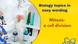 mitosis overview biology  cell division [upl. by Barth179]