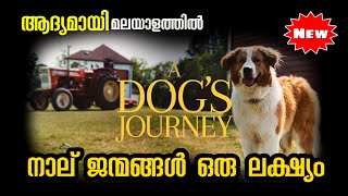 A Dogs Journey 2019 Movie Explained in Malayalam l be variety always [upl. by Assiluj]