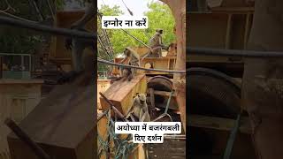 जय हो बजरंगबालीmatarani viral shorts vlog viralvideotrending bhakti reelsshorts funny [upl. by Akkin457]