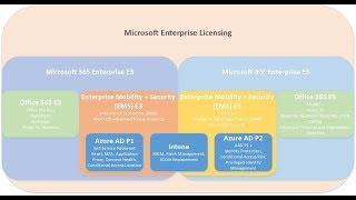 Microsoft 365 E3 and E5 Licensing [upl. by Beauregard]