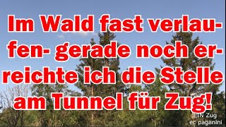 Im Wald fast verlaufen Gerade noch erreichte ich die Stelle am Tunnel für den Zug mit der Diesellok [upl. by Airemaj]