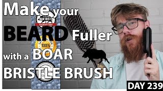 6 Reasons WHY a BOAR BRISTLE BRUSH will INSTANTLY improve your Beard  Liberty Grooming Co [upl. by Novah]