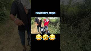 King Cobra Jungle 🤬Lutpat 😂😂viralvideo bike rider [upl. by Llemij]