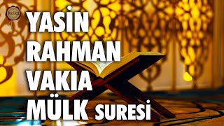 Yasin Rahman Vakıa Mülk Suresi Tebareke  Shamil Gadzhiev  fussilet Kuran Merkezi [upl. by Hcir]