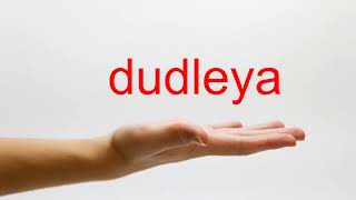 How to Pronounce dudleya  American English [upl. by Ymirej]