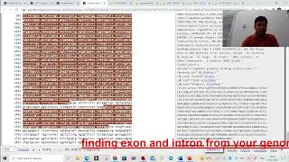 Finding Exon and Intron from your Genomic DNA Sequence [upl. by Malchus]