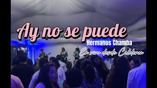 Ay No Se Puede  Sanjuanito De Oro  En Vivo [upl. by Iek]