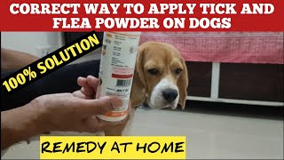 How To Apply Anti Tick And Flea Powder On Dogs  Correct Way To Use  Get Rid of Fleas From Dogs [upl. by Berghoff]