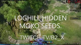 HIDDEN MOKOKO SEEDS RETHRAMIS LOGHILL LOST ARK 2022 [upl. by Neala]