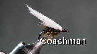 Coachman from Favorite Flies and Their Histories 1892 by Mary Orvis Marbury [upl. by Idissac]