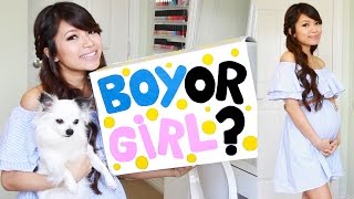 Pregnancy Vlog 2 ♥ BABY GENDER REVEAL Were having a [upl. by Lareneg]