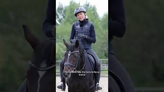 Why You Should Try Cavaletti Work with Your Horses Ingrid Klimke [upl. by Assirahs]