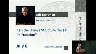 Can the Brains Structure Reveal its Function  Jeff Lichtman [upl. by Grannias]