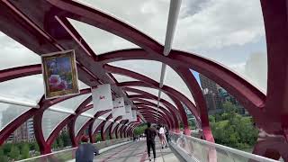 Peace Bridge in Calgary Alberta [upl. by Anon]