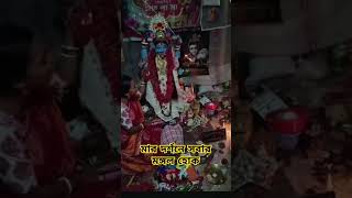 মার দর্শনে সবার মঙ্গল হোক। জয় কৃষ্ণ কালি মায়ের জয় 🙏 [upl. by Ames]