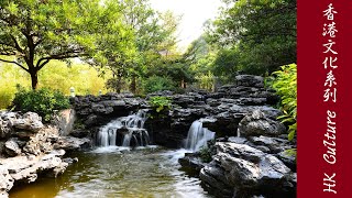 荔枝角公園「嶺南之風」 Lingnan Garden Lai Chi Kok Park [upl. by Joachima]