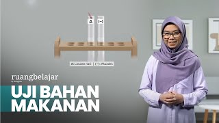 UJI BAHAN MAKANAN  Video Belajar SMA 11 IPA  Biologi [upl. by Bultman38]