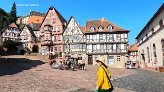 4K Day 1 Miltenberg on Main  Germany Medieval Village Alps road trip [upl. by Akyeluz]