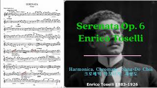 Serenata Op 6  Enrico Toselli 토젤리의 세레나데 작품 6번 in CMaj [upl. by Mccollum706]